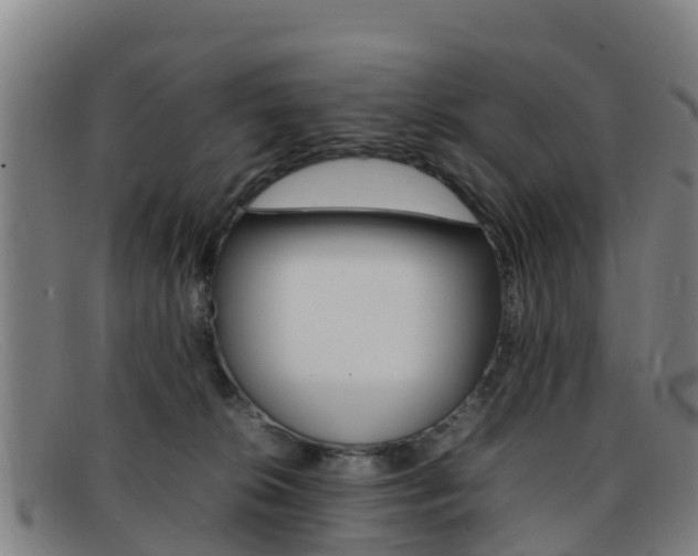 X0000092070276200709121031