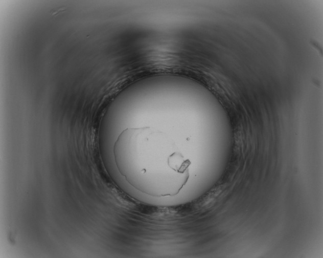 X0000092070278200709121031