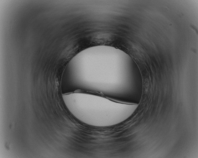 X0000092070279200709121031