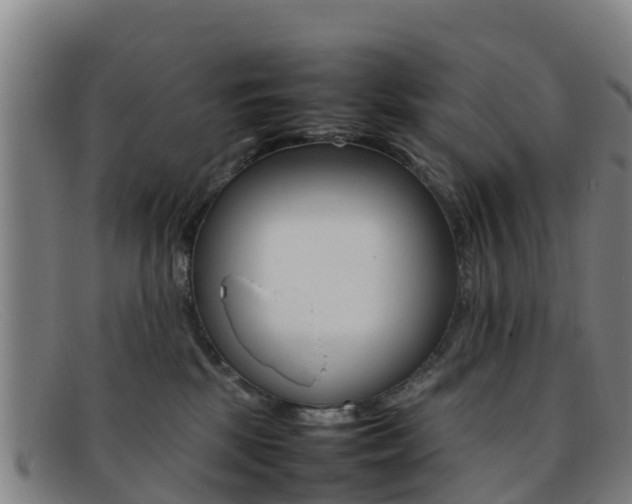 X0000092070281200709121031