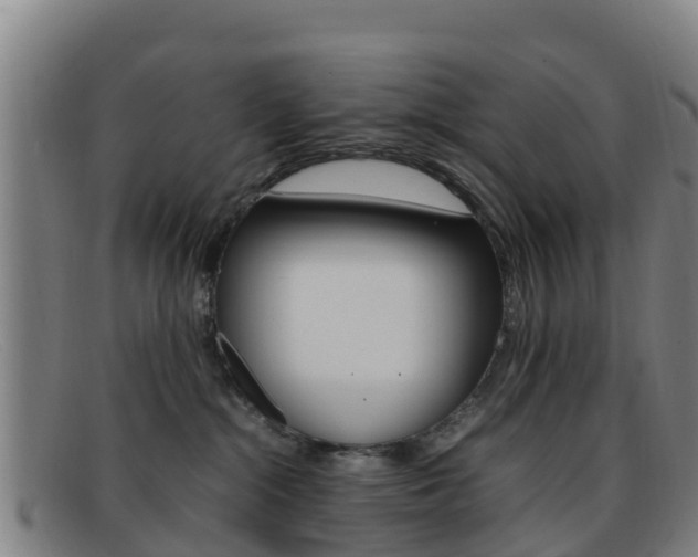 X0000092070284200709121032