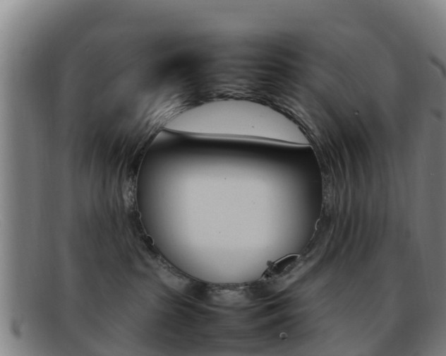 X0000092070285200709121032