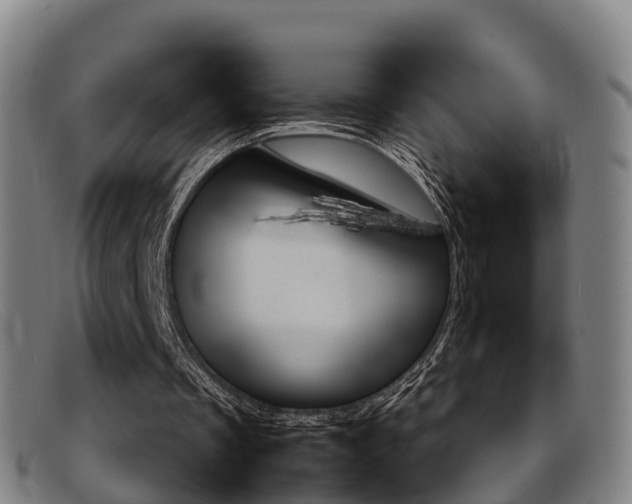 X0000092070289200709121031
