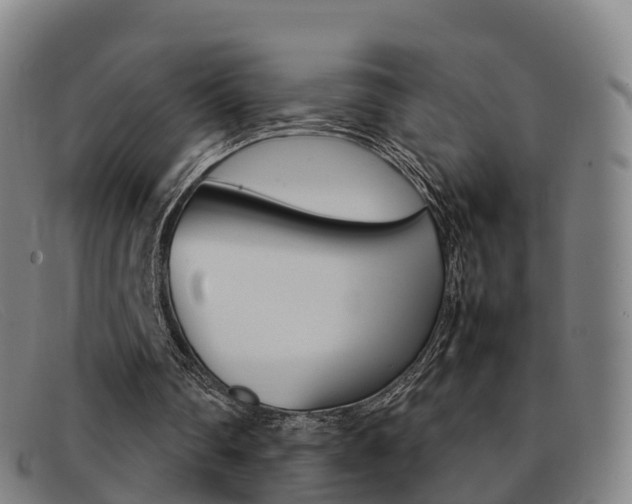 X0000092070290200709121031