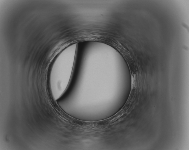 X0000092070291200709121031