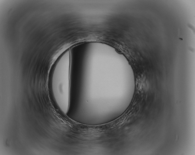 X0000092070292200709121031