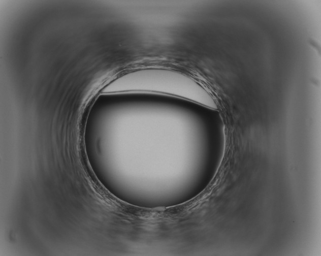 X0000092070293200709121031