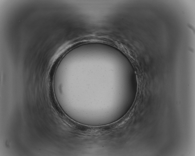X0000092070295200709121031