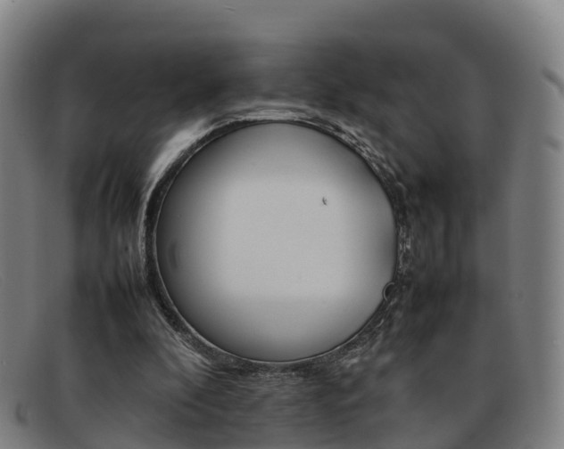 X0000092070296200709121031