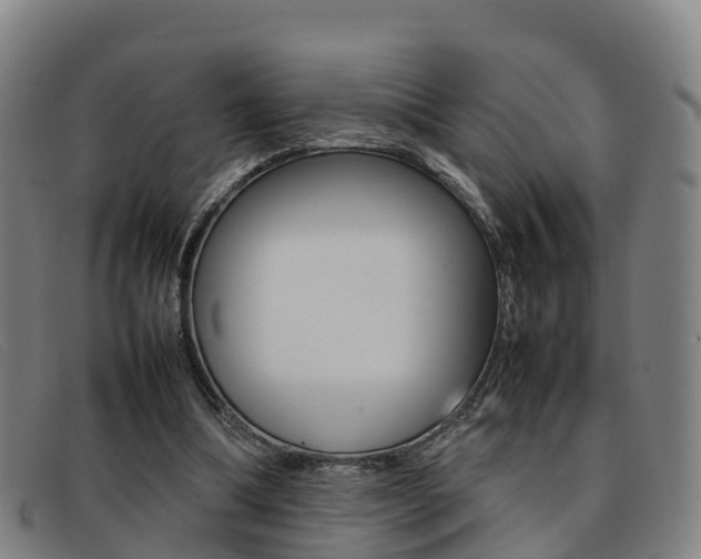 X0000092070298200709121031