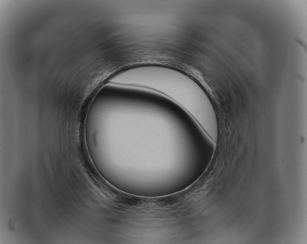 X0000092070299200709121031