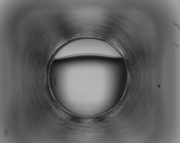 X0000092070301200709121031