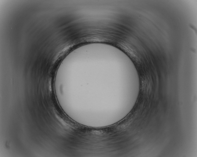 X0000092070302200709121031