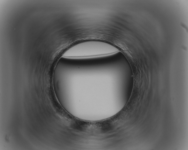 X0000092070303200709121031