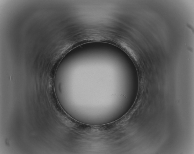 X0000092070305200709121031