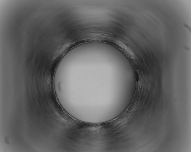 X0000092070306200709121031