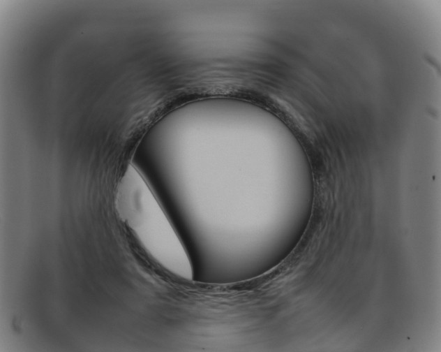 X0000092070307200709121031