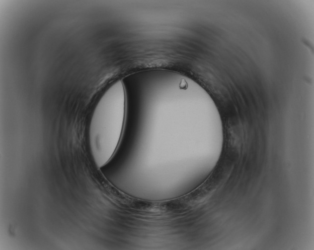 X0000092070308200709121031