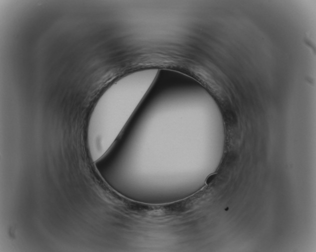 X0000092070309200709121031