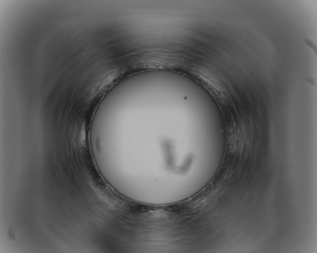 X0000092070310200709121031