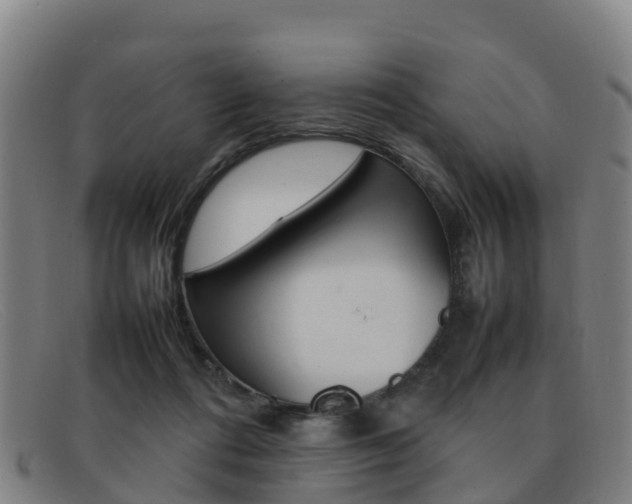 X0000092070312200709121031