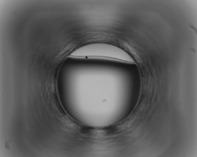 X0000092070313200709121031