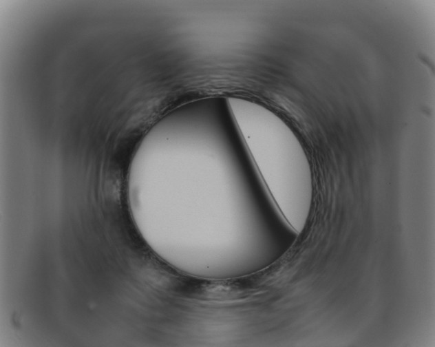 X0000092070315200709121031