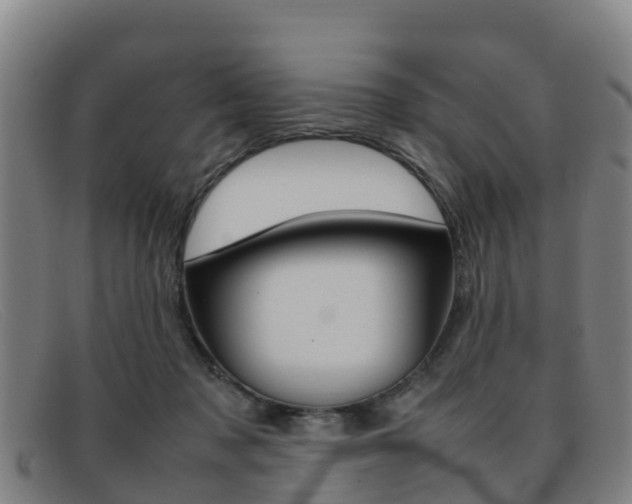 X0000092070317200709121031