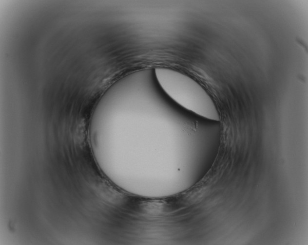 X0000092070318200709121031