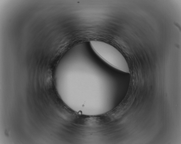 X0000092070320200709121031