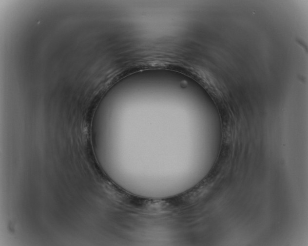 X0000092070321200709121031