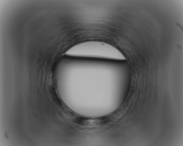 X0000092070323200709121031