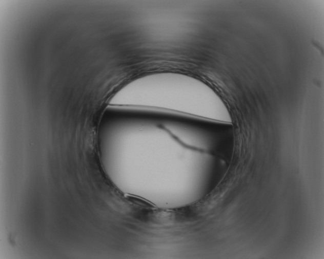 X0000092070325200709121031