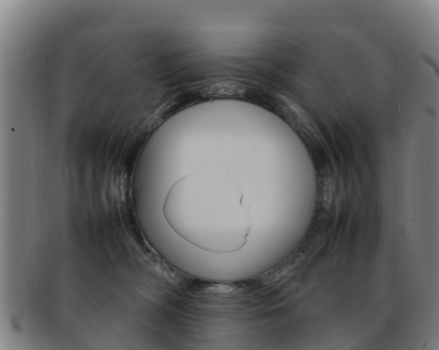 X0000092070326200709121031