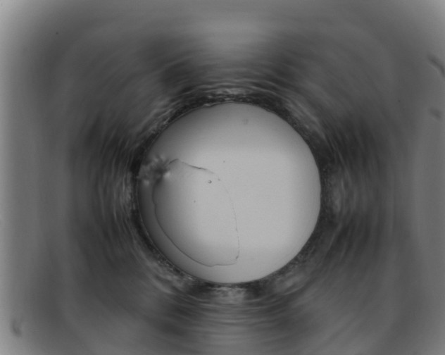 X0000092070328200709121031