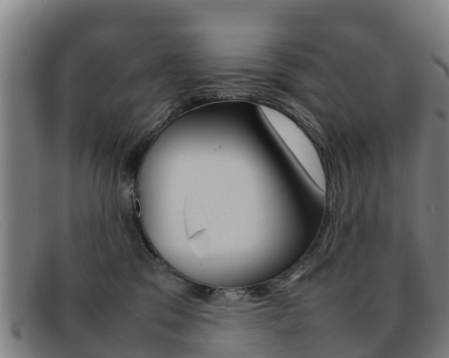 X0000092070329200709121031