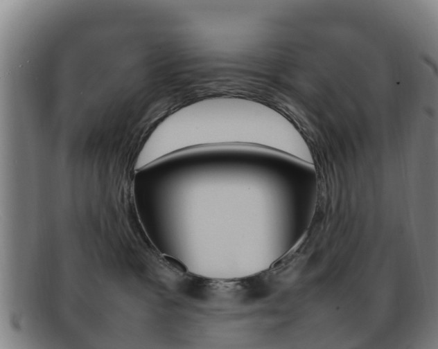 X0000092070333200709121030