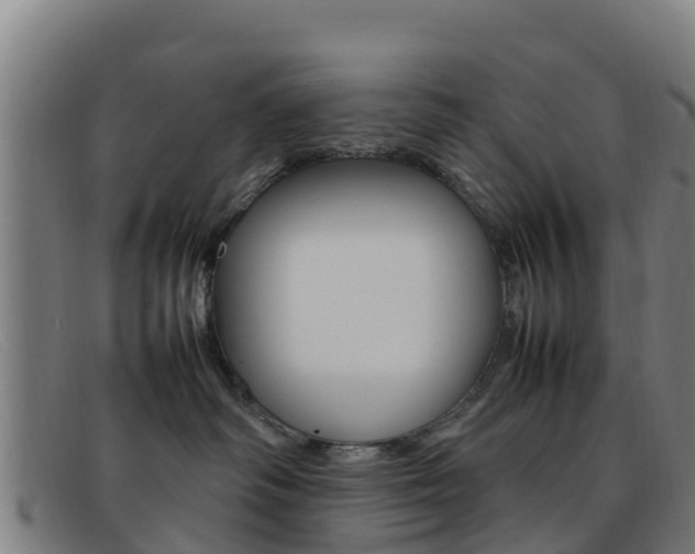 X0000092070334200709121030