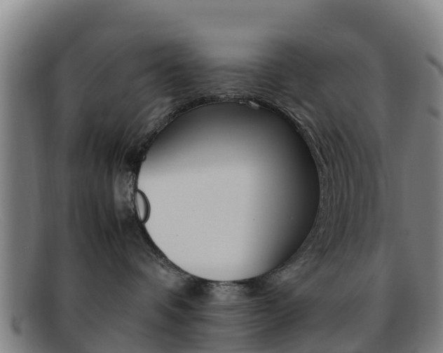 X0000092070336200709121030