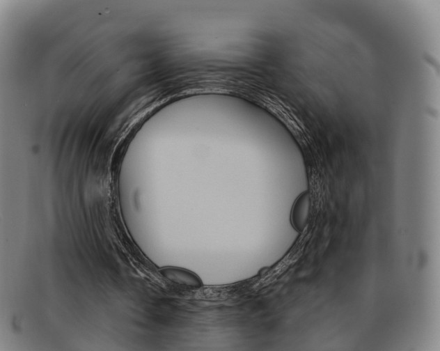 X0000092070338200709121030