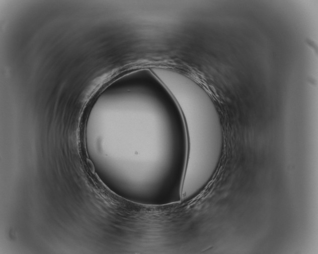 X0000092070340200709121030