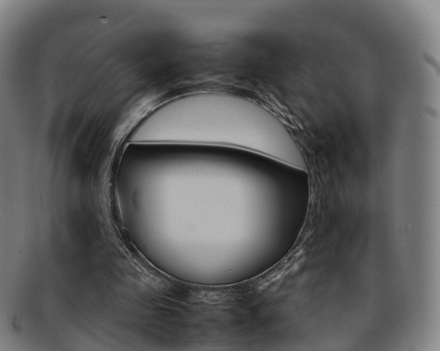 X0000092070341200709121030