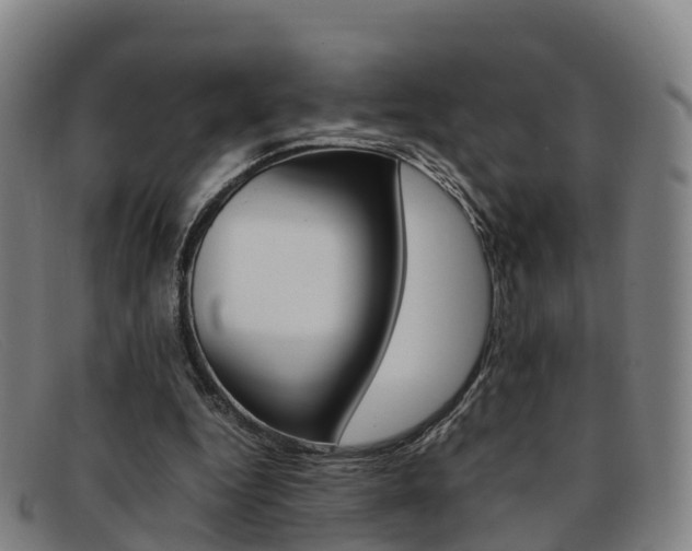 X0000092070344200709121030