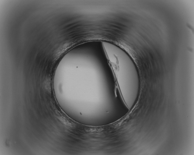 X0000092070345200709121030