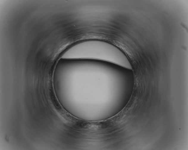X0000092070352200709121030