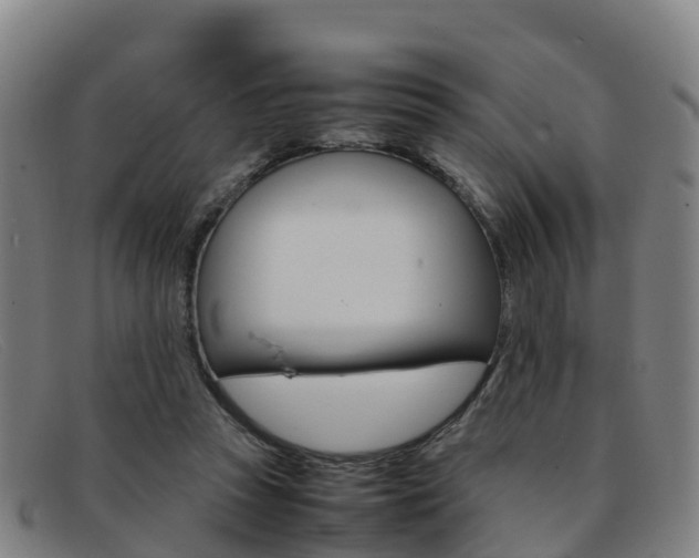 X0000092070353200709121030