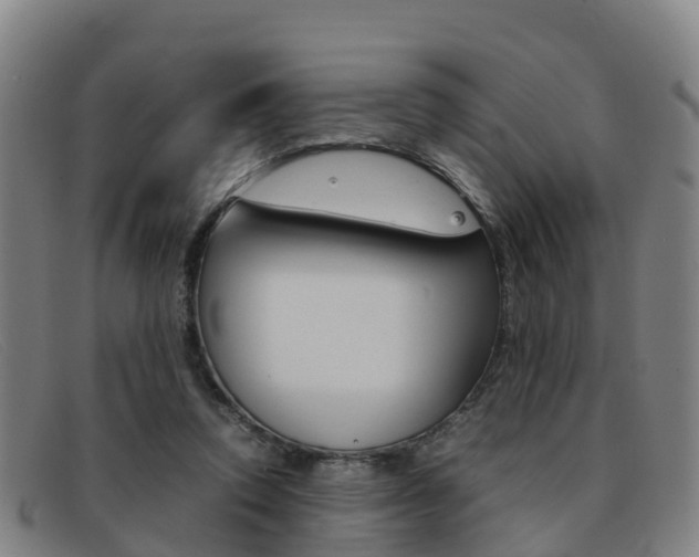 X0000092070354200709121030