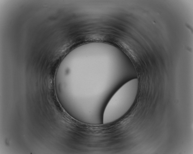 X0000092070355200709121030