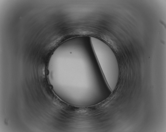X0000092070358200709121030