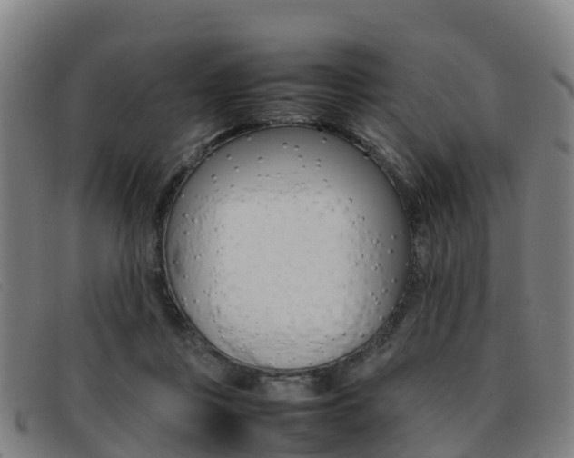 X0000092070359200709121030